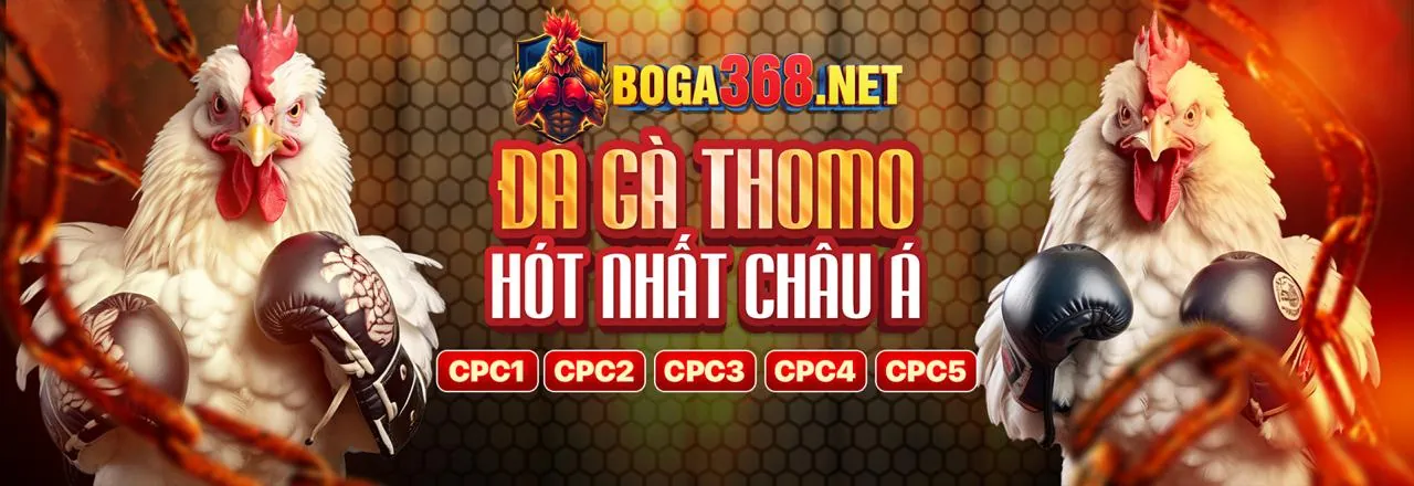 Hình ảnh tiêu đề blog 32win2 win